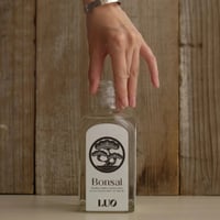 LUO BONSAI GIN