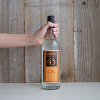 BLOOMSBURY FLAVOURED GIN ORANGE
