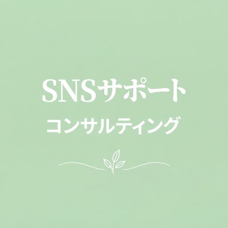 SNSサポート・コンサルティング(6ヶ月間)(人数限定)(連休セール)