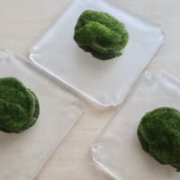 御菓子丸喫茶 8/15(土) 13:30開始