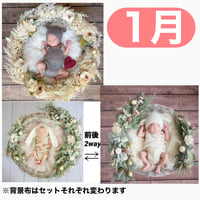 返送料別途負担【1月予定日の方事前予約枠】パームフラワーリース＆2wayスワッグ〈NB〉