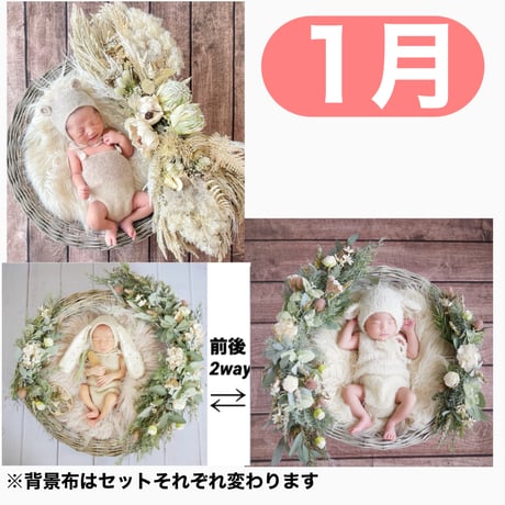 返送料別途負担【1月予定日の方事前予約枠】ホワイトドライスワッグ＆2wayスワッグ〈NB〉