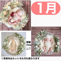 返送料別途負担【1月予定日の方事前予約枠】ミントグラス＆2wayスワッグ〈NB〉