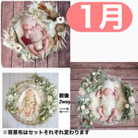 返送料別途負担【1月予定日の方事前予約枠】ココアグラス＆2wayスワッグ〈NB〉