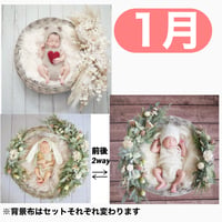 返送料別途負担【1月予定日の方事前予約枠】ペールホワイトスワッグ＆2wayスワッグ〈NB〉