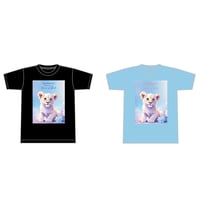 『SoB』2026 T-Shirts