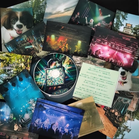 FEST VAINQUEUR ONLINE STORE