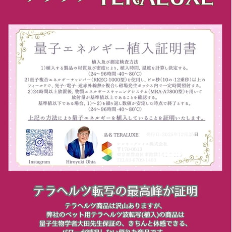 【予約販売】テラヘルツ波転写マット♡テララグTERALUXU特別価格《 発送は11月上旬 》
