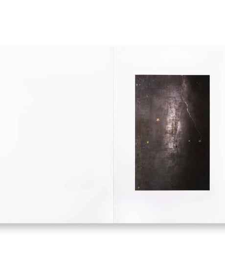 PHARMAKON｜Teju Cole