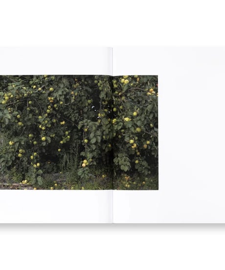 PHARMAKON｜Teju Cole