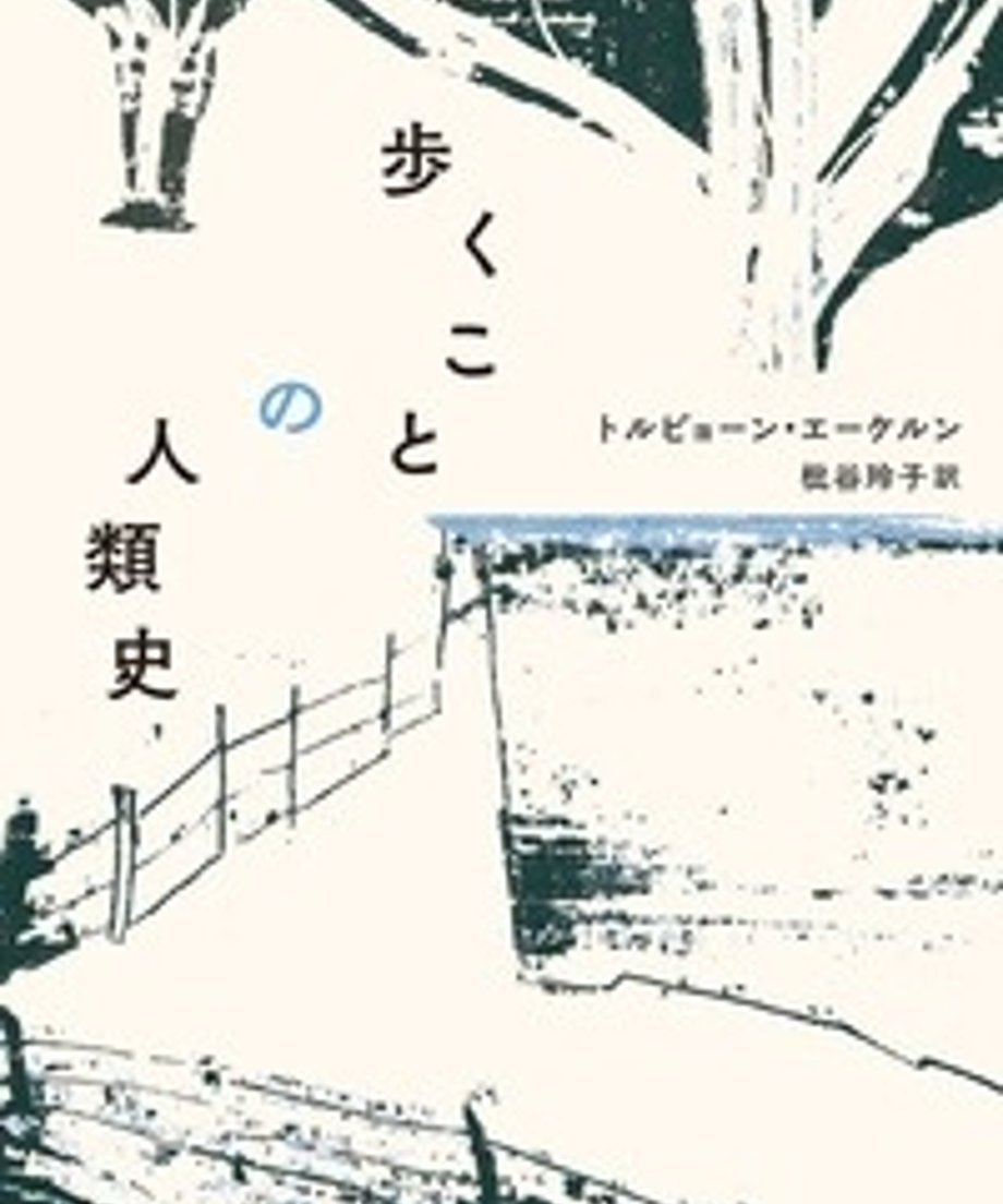 6ad855dc4e10edfcde3e750e