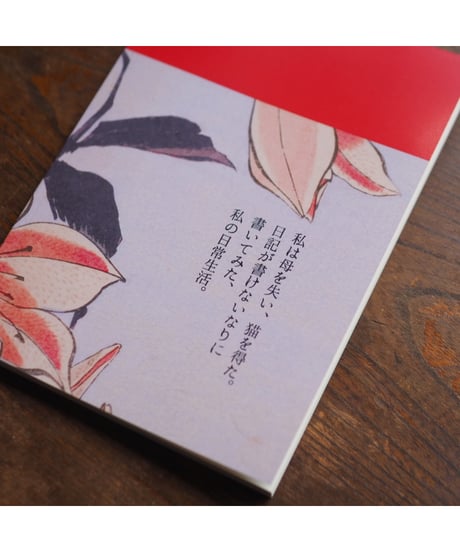 嘘で本当の私たち｜野口理恵