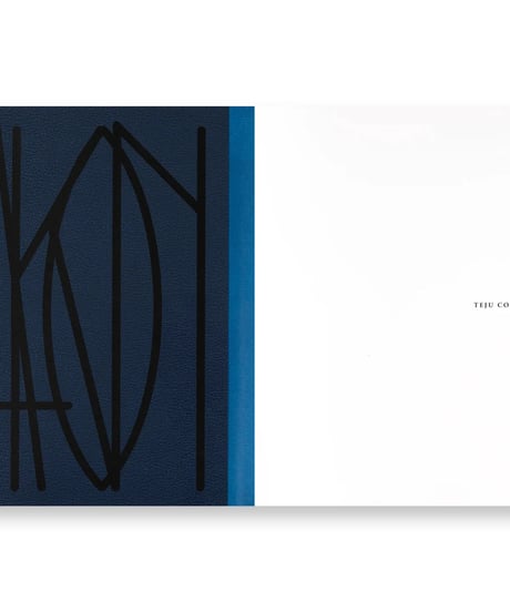 PHARMAKON｜Teju Cole