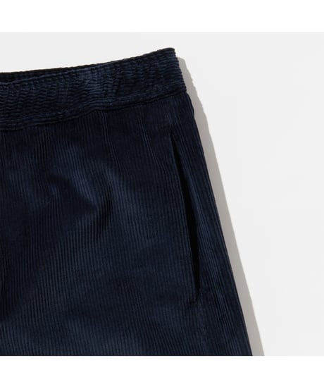 POLYPLOID _ JUDO PANTS C ( NAVY )