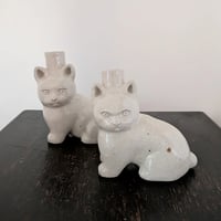 ぽっちゃり猫の容器