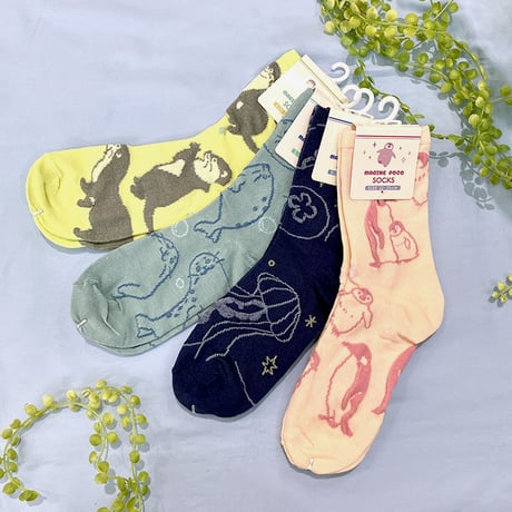 水族館 | STORES