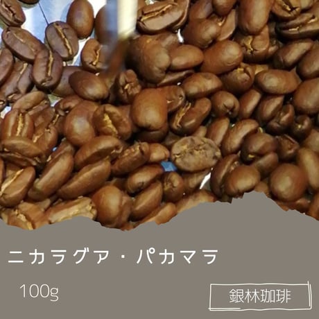 ニカラグア・パカマラ100g