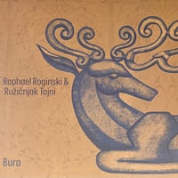 Raphael Roginski & Ruzicnjak Tajni - Bura [LP][Instant Classic] (USED)