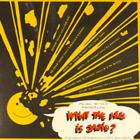 Various - What The Hell Is Jazid ? [LP][Alien Style] (USED)