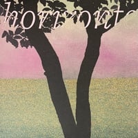 funcionario - Horizonte [LP][Holuzam] (USED)