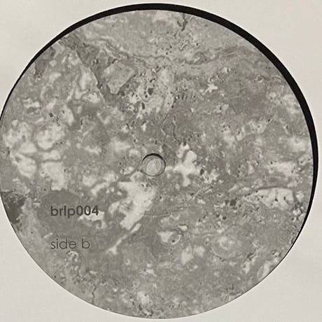 Mlehst - I Am, I Was, I Will Always Be [LP][Belief Recordings] (USED)