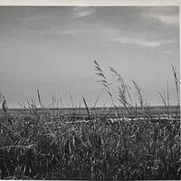Talker - Talker [LP][Downwards] (USED)