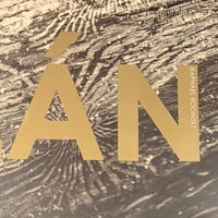 Raphael Roginski - Talan [LP][Instant Classic] (USED)