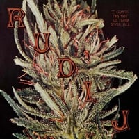 RUDI J - I GUESS I'M NOT IN TUNE AFTER ALL [LP][SOUVENIRS FROM IMAGINARY CITIES]