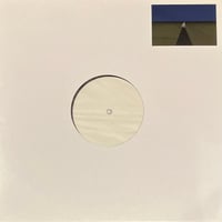 ccctyyy - Reappearance [12][TAX FREE RECORDS] (USED)