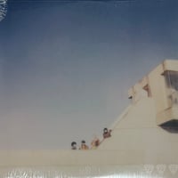 TAMTAM - Where They Dwell [LP][PPU] (USED)