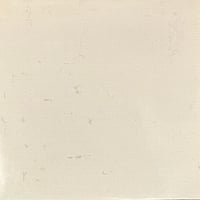 Mlehst - I Am, I Was, I Will Always Be [LP][Belief Recordings] (USED)