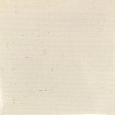 Mlehst - I Am, I Was, I Will Always Be [LP][Belief Recordings] (USED)