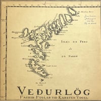 Fagrir Fuglar Vio Karsten Vogel - Veourlog - Weather Music [LP][Tutl] (USED)