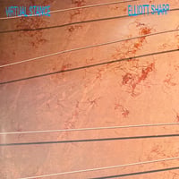 Elliott Sharp - Virtual Stance [LP][Dossier] (USED)