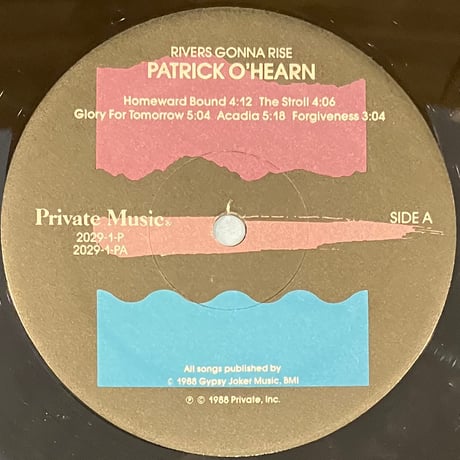 Patrick O'Hearn - Rivers Gonna Rise [LP][Private Music] (USED)