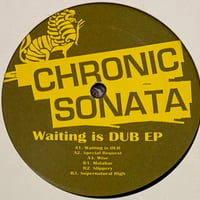 Chronic Sonata - Waiting Is Dub EP [12][Tip Of The Iceberg] (USED)