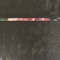 Davy Kehoe - The Pilot [12][Wah Wah Wino] (USED)