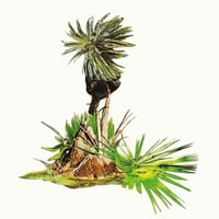 LAGOSS - MUSICA PARA PLATANOS [LP][Discrepant]