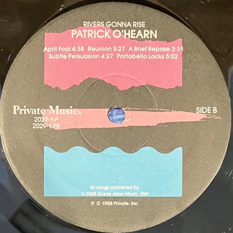 Patrick O'Hearn - Rivers Gonna Rise [LP][Private Music] (USED)