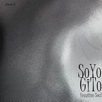 Weiches Loch, Vexation Soul - 5 / そよぎと [7][La Muro Mia Muro] (USED)
