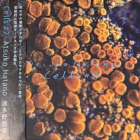 Atsuko Hatano - Cells #2 [CD][Not On Label] (USED)