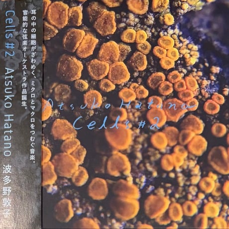 Atsuko Hatano - Cells #2 [CD][Not On Label] (USED)
