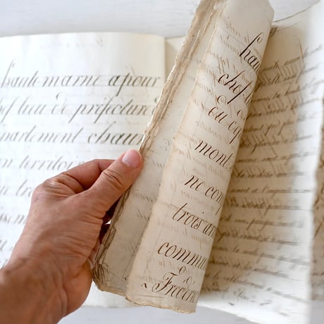 1829年 カリグラフィの美しい証書(C)