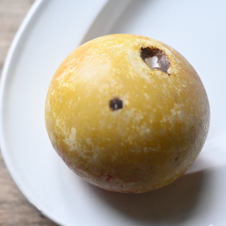 イタリア Alabaster製(林檎) ※バリエーションあり
