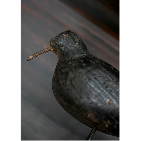 1800年代 古手のデコイ(ブラック)