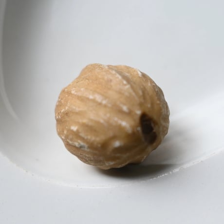 イタリア Alabaster製(柿,ミラベル,杏,胡桃)