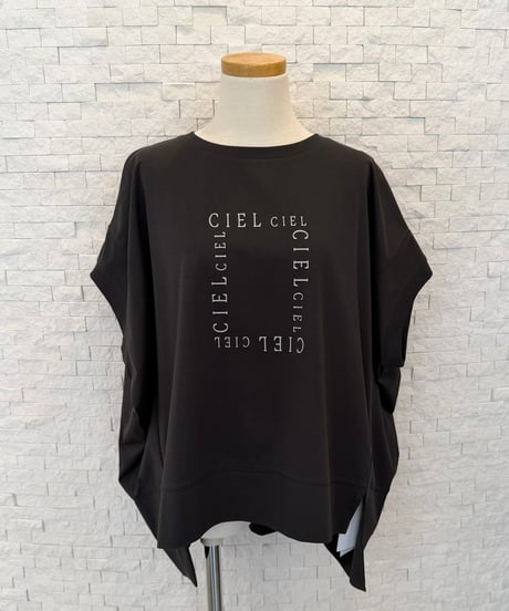 ボックスロゴTシャツ