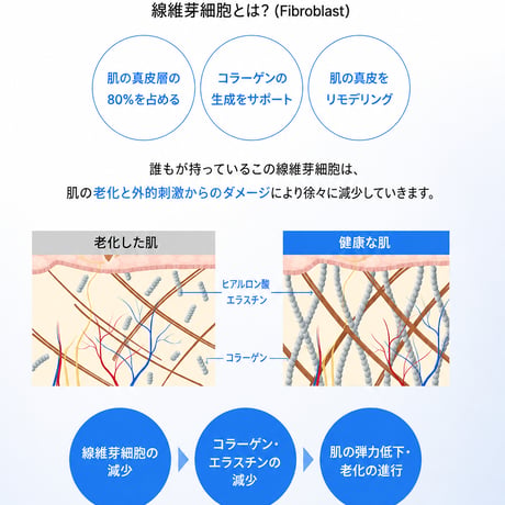 《予約販売》OLICELL SHEET MASK