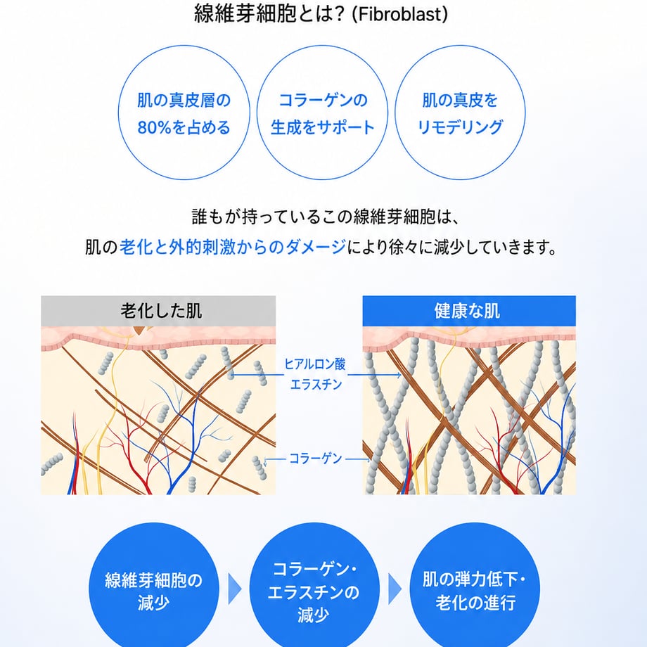6a854aaee37c5b309372d099