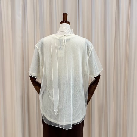 《予約販売》STUNNING Sheer Layered T-Shirt